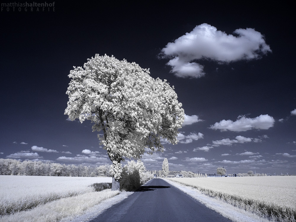 Infrared Photography