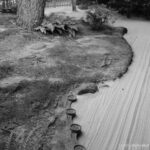 Japanischer Bonsaigarten Ferch 2