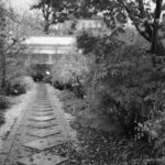 Japanischer Garten Zeitz 1